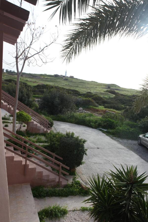 Ariadne Apt 103 -300M From Lighthouse Beach Pafos Dış mekan fotoğraf